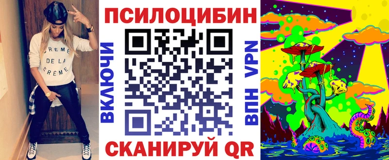 Псилоцибиновые грибы Psilocybine cubensis  Вилючинск 